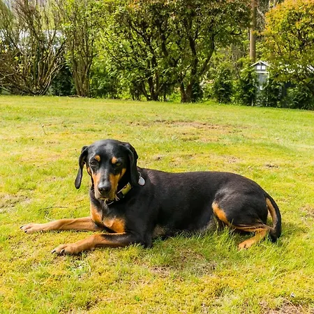 Friends & Family Domizil Apartament *